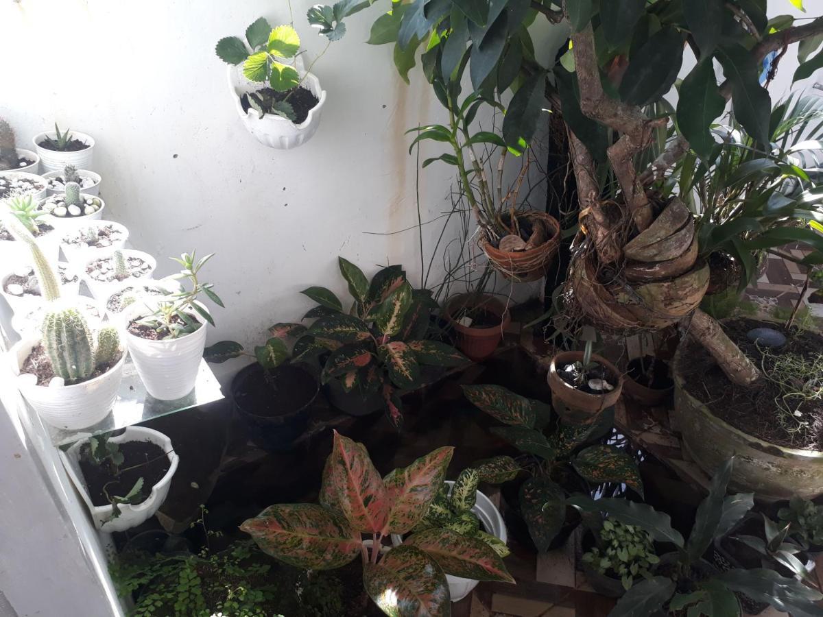 Bu Mimi Home Stay Painan Exterior foto